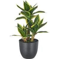 Künstliche Zimmerpflanze Sansevieria trifasciata, Creativ green, Höhe 40 cm, mit wunderschöner Blattzeichnung