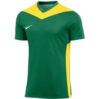 Nike Fußballtrikot Nike Performance Park Derby IV Trikot Kids Teamsport