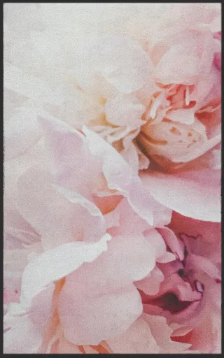 Fussmatte 7616 | Größe: 60 cm x 90 cm