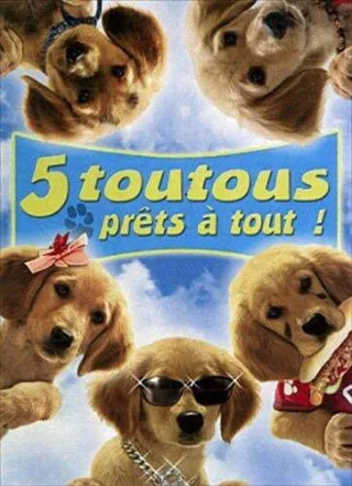 5 toutous prets a tout! [FR Import] [DVD]