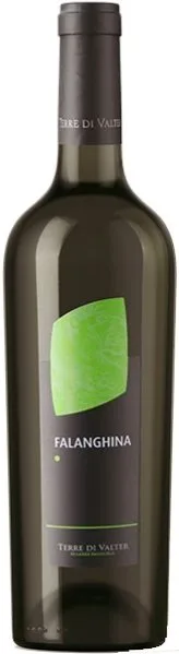 Terre di Valter Falanghina IGT Bianco Jg. 2024