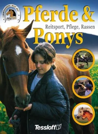 Pferde und Ponys. Reitsport Pflege Rassen