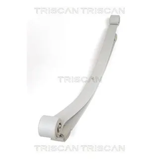 Triscan Blattfeder Hinten Mercedes Sprinter VW Crafter 876523018