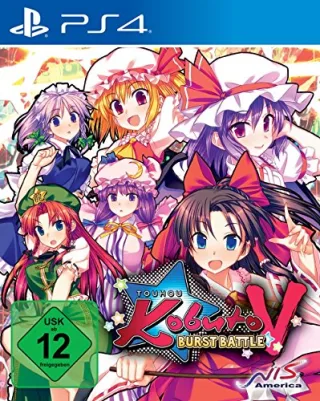 V - Burst Battle
