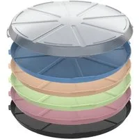 elasto Aufbewahrungssystem Pizzabox "ToGo"