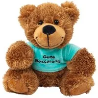 Teddys Rothenburg Kuscheltier Teddybär mit grünem Shirt Gute Besserung 16 cm Plüschbär