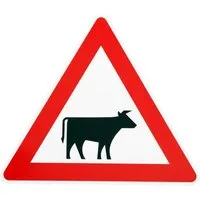 BauSupermarkt24 Verkehrsschild Original Verkehrszeichen Nr. 101-22 " Achtung Viehtrieb " links