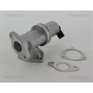 Triscan AGR-Ventil Hyundai Kia 881343002