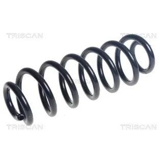 Triscan Feder hinten VW Tiguan 5N