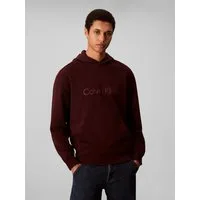 Calvin Klein Kapuzensweatshirt LS EU STANDARD LOGO 350TERRY PO Mit Rundhalsausschnitt, regular fit