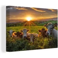 OneMillionCanvasses® Leinwandbild Sonne - Kuh - Gras, Fotodruck (1 St), Leinwand Bilder Klein, Wand Dekoration Aesthetic 30x20 cm