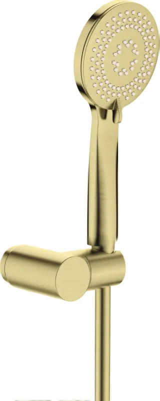 Neuesbad Serie 200 1-Punkt-Duschset, Gold Gebürstet NB1DENQAR41K1