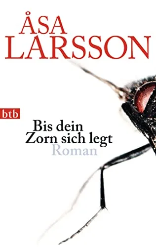 Bis dein Zorn sich legt: Roman [Taschenbuch] [2010] Larsson Åsa Haefs Gabriele