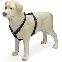 Karlie Hunde-Geschirr Karlie ASP Geschirr - Schwarz Breite/Brustumfang: 10 mm, 25-40 cm