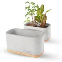 Bannik Blumentopf aus Beton - Unikat mit Holzsockel - Pflanzkübel (1 St., 15x7,5x8cm), Handgefertigt in Deutschland, hochwertige Haptik