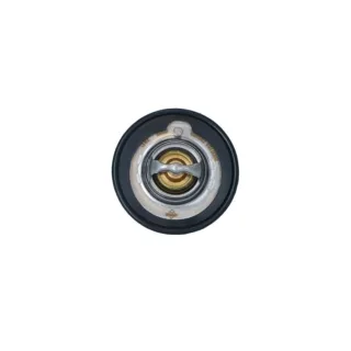 NRF Thermostat Honda Rover