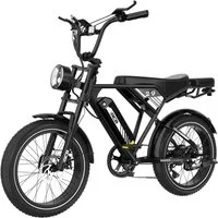 RCB E-Bike RK29 Elektrofahrrad,APP,20x4,0 Zoll Mountainbike,40-60KM,Schloss&Pumpe, Heckmotor, 624 Wh