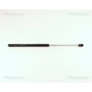 2 Triscan Gasfedern F?r Heckklappe L?nge 445 Fiat Punto 176