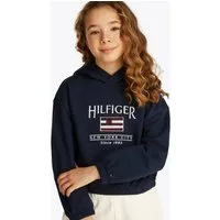 Tommy Hilfiger Kapuzensweatshirt HILFIGER SEQUIN FLAG HOODIE mit Pailetten, mit Logostickereien