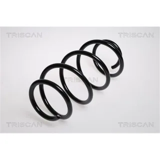 Triscan Feder vorne Renault Espace Vel 87502540