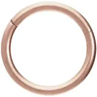 PIERCINGLINE Nasenpiercing Titan Segmentring Clicker MATT Ohrpiercing Septum Nase (Clicker, 1-tlg), Ohrpiercing für Conch, Helix, Tragus, Daith, Lobe