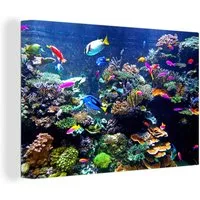 OneMillionCanvasses® Leinwandbild Koralle - Fische - Aquarium, Fotodruck (1 St), Leinwand Bilder Klein, Wand Dekoration Aesthetic 30x20 cm