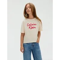 Calvin Klein Jeans T-Shirt BOXY TEE METALLIC LOGO TECH für Kinder bis 16 Jahre, große Stickerei
