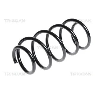 Triscan Feder vorne Honda Civic 8