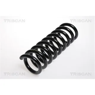 Triscan Feder hinten Mercedes C-Klasse Clk