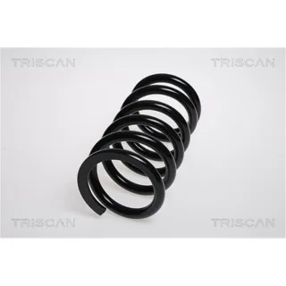 Triscan Feder hinten Mitsubishi Grandis