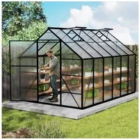FIVMEN Gewächshaus ALU mit Fundament rostfrei BxTxH: 310 × 250 × 205 cm, BxTxH: 310 x 250 x 205 cm, Premium Gartengewächshäuser Aluminium mit 6 cm Fundament