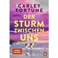 Der Sturm zwischen uns / Carley Fortune, Roman - Our Perfect Storm. Sommerlich, mitreißend, unwiderstehlich - die neueste Summer-Romance von Carley Fortune (»Fünf Sommer mit dir«)