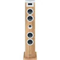 Thomson Thomson Soundtower DS121CD Bluetooth-Lautsprecher