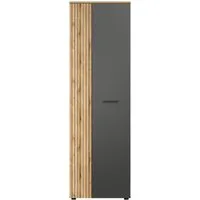 trendteam Garderobenschrank (Garderobenschrank) Hochschrank Kleiderschrank 60 x 195 x 36 cm