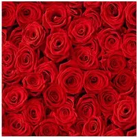 ti-flair Papierserviette, Servietten Papier 33x33cm 3-lagig Rosen 20 Stück rot