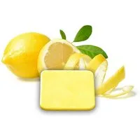 HOME DELUXE Duftwachs Duftplättchen für Ionisator (Saunazubehör, Duftpad), Geeignet für Infrarotkabinen, Saunen & Dampfduschen, Aromaplättchen