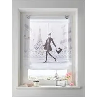 Rollo Raffrollo, heine, transparent, Ösen mit Fensterhaken