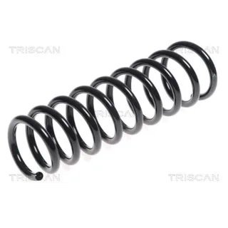 Triscan Feder hinten Kia Ceed Pro 875043101