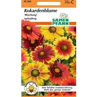 SAMEN PFANN Blumensamen Kokardenblume (Gaillardia), Mischung - Saatgut Samen, Gaillardia aristata