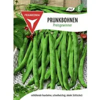 FRANKONIA Gemüsesamen Prunk- und Feuerbohne, Preisgewinner - Bohnen-Samen Saatgut Samen, Phaseolus cossineus