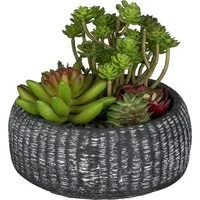 Kunstpflanze Sukkulentenarrangement, Creativ green, Höhe 16 cm, mit trendiger Schale