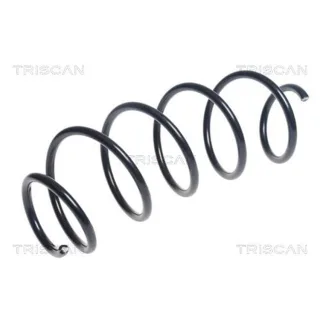 Triscan Feder vorne Peugeot 2008