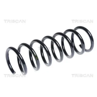 Triscan Feder hinten Ford Focus 3 2,5 ST
