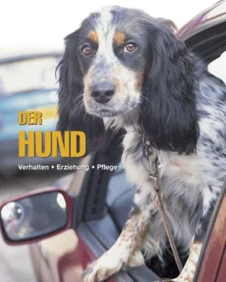 Hund