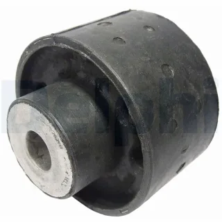 Delphi Achsk?rperlager hinten BMW 5er E39 TD722W