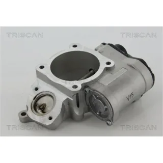 Triscan AGR-Ventil Audi A4 B6 2,0