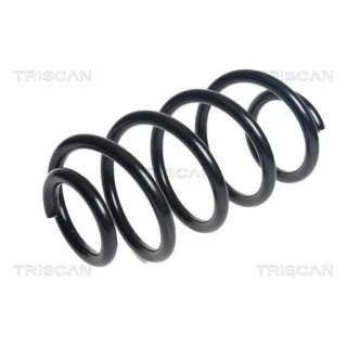 Triscan Feder vorne Ford Transit 2,0 2,2 TDCi