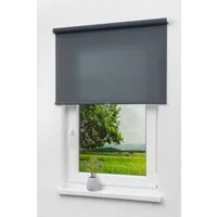 Rollo Qualitätsspringrollo Tageslicht Dunkelg, LYSEL®, blickdicht, HxB 190x62cm