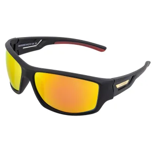 Lunettes de soleil polarisées Breed Aquarius