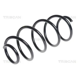 Triscan Feder vorne Seat Ibiza Skoda Fabia Rapid VW Polo